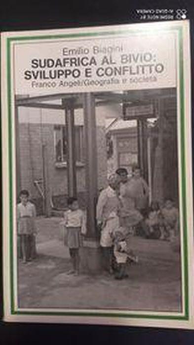SudAfrica al biobio:sviluppo e conflitto - Emilio Biagini - copertina