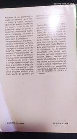 SudAfrica al biobio:sviluppo e conflitto - Emilio Biagini - 2