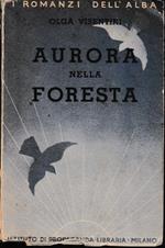 Aurora nella foresta