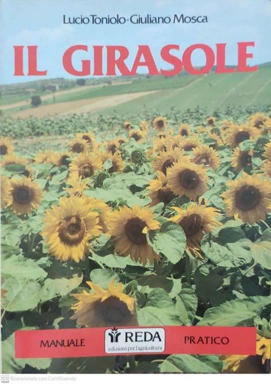 Librisaggi