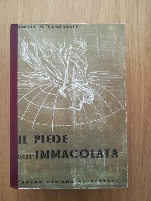 Librisaggi