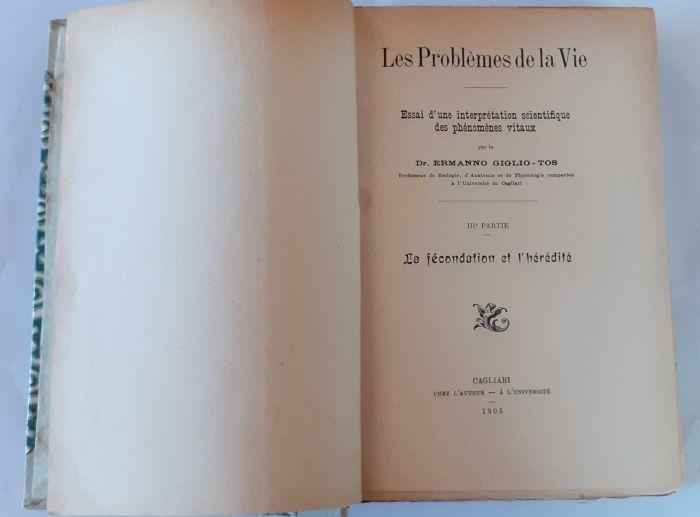 Libreria del Professore