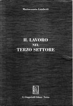 Il Lavoro nel Terzo Settore