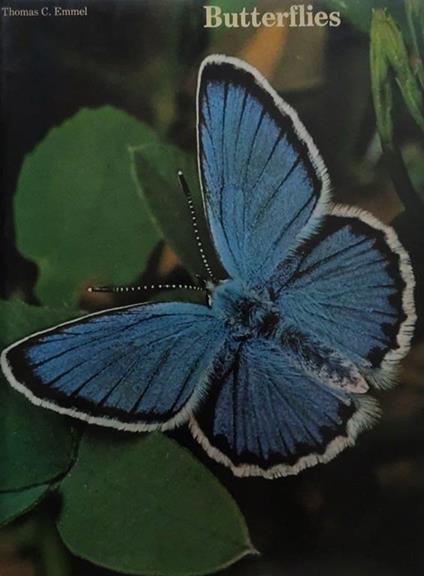 Butterflies - Thomas C. Emmel - copertina
