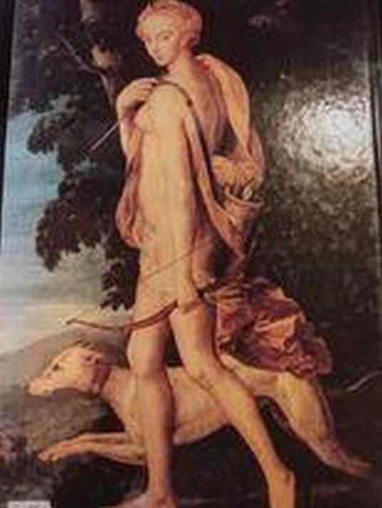 Les Grandes Favorites royales - copertina