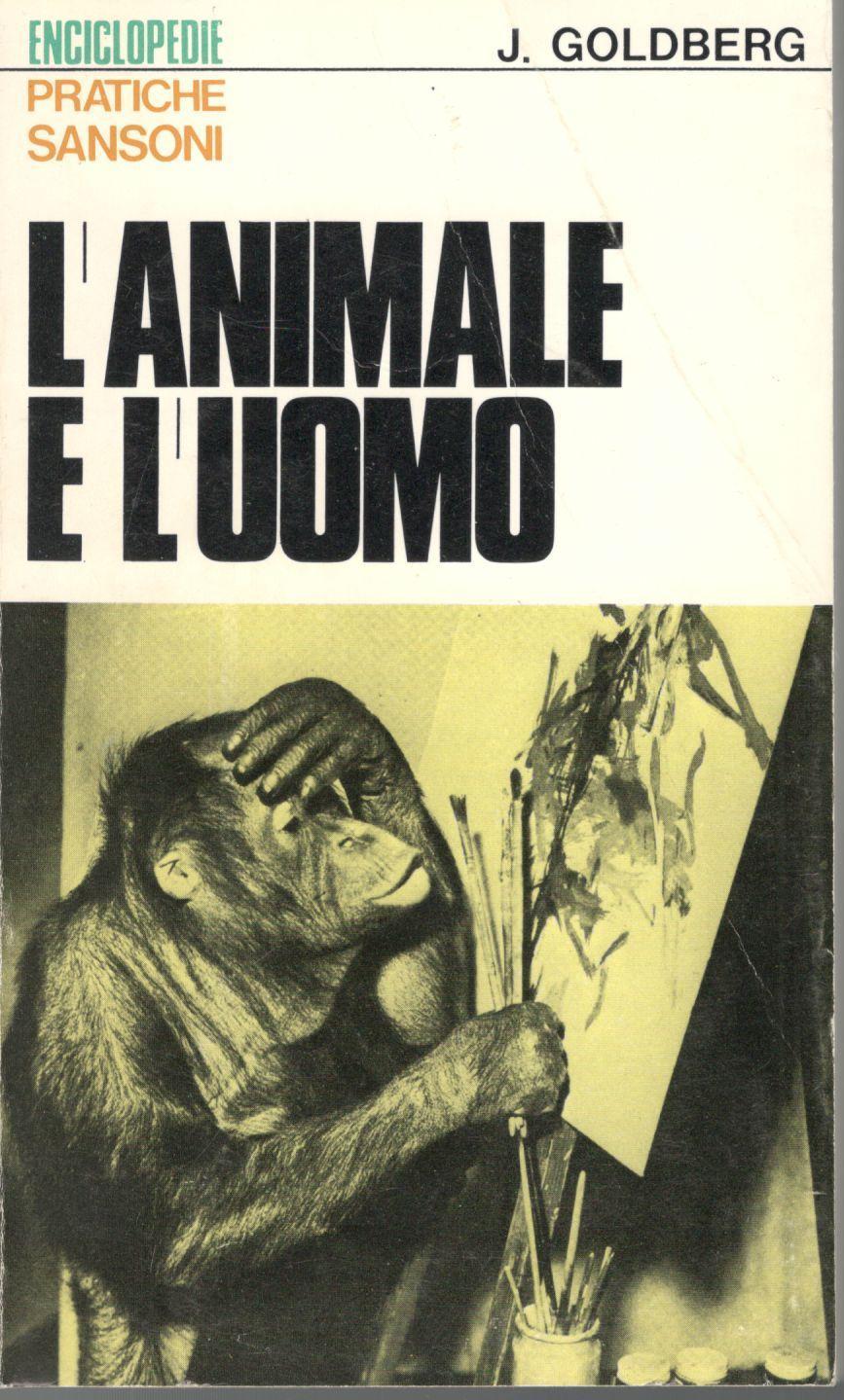 Librisaggi