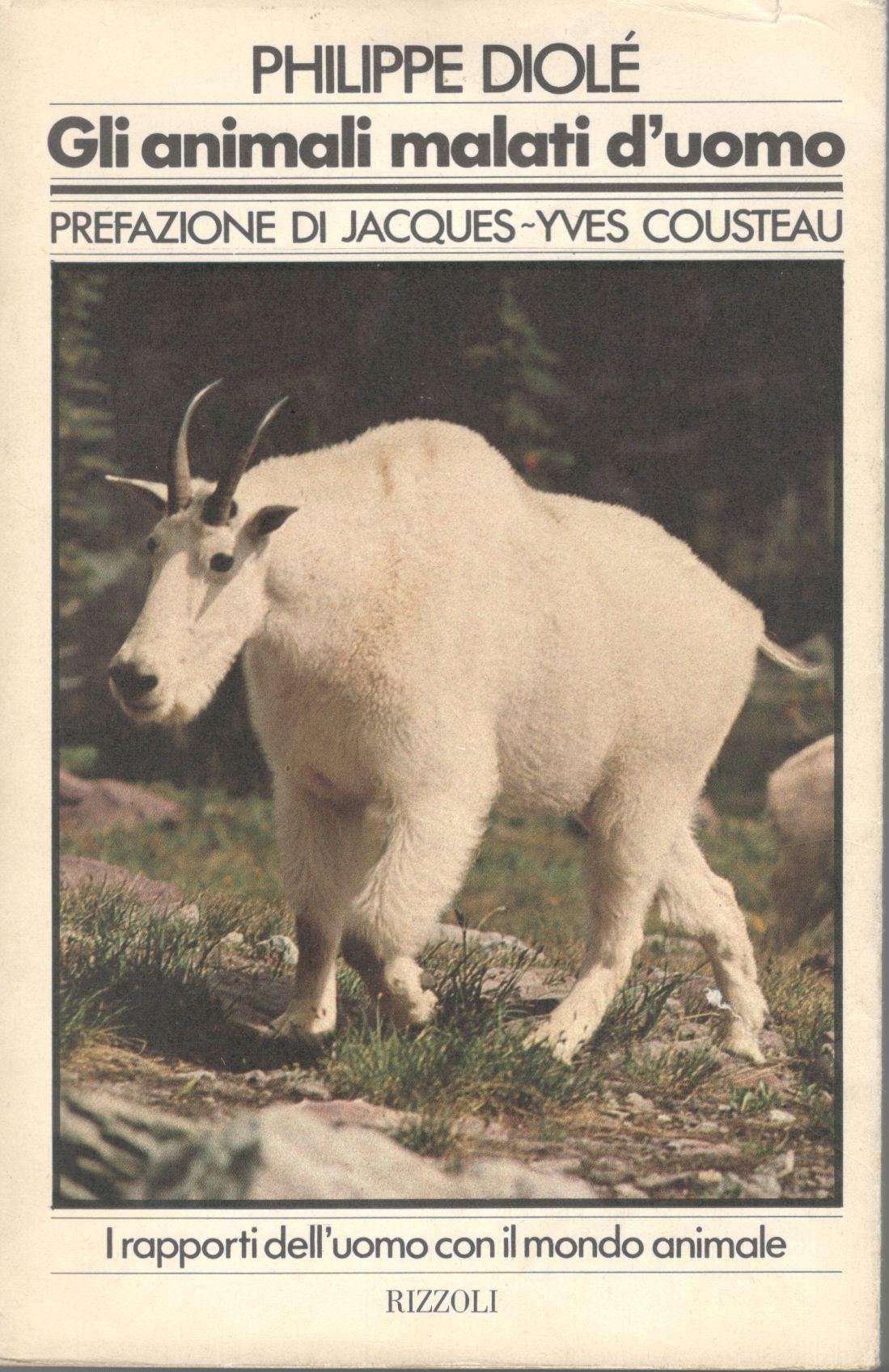 Librisaggi