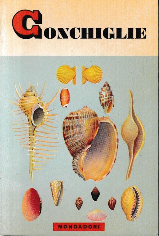 Libreria del Professore