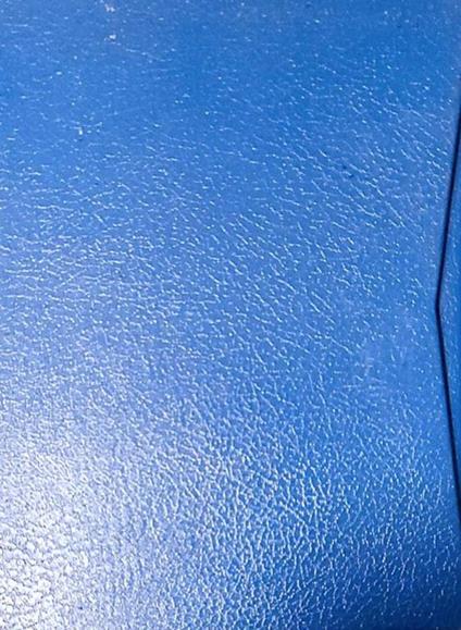 Maurice Maeterlinck - premio nobel per la letteratura 1911 - copertina