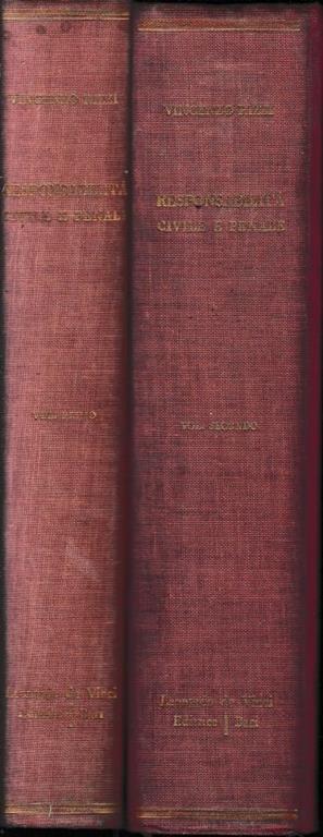 Responsabilità Civile E Penale Nel Campo Della Proprietà E Dei Lavori Pubblici E Privati - Vincenzo Rizzi - copertina
