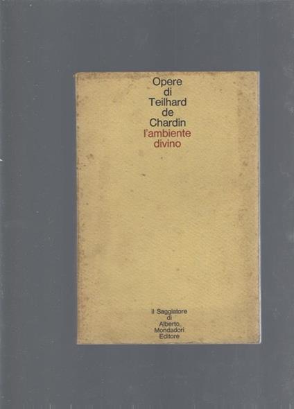 L' ambiente divino - copertina