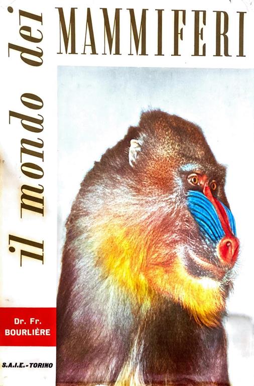 Libreria del Professore