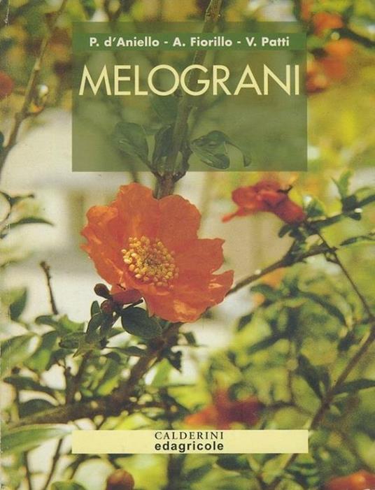 Melograni - Pierangela D'Aniello - copertina