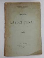 Saggio di lavori penali