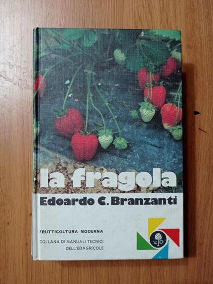 La fragola - copertina
