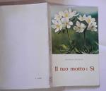 Il tuo motto: si (dagli scritti di Angelina Tricoli)
