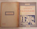 L' Apprendista falegname. Manuale pratico con 370 figure dimostrative