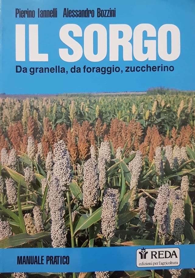 Librisaggi