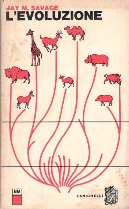 L' evoluzione - Jay M. Savage - copertina