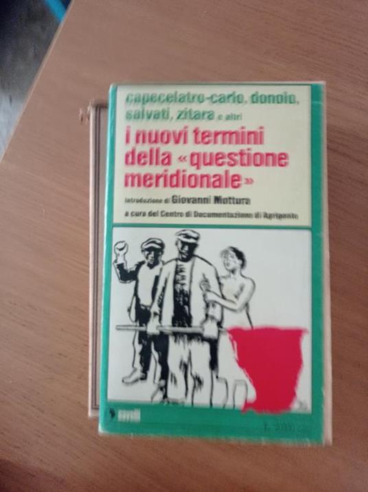 I nuovi termini della "questione meridionale" - copertina
