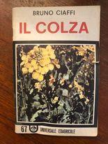 Il Colza - Bruno Ciaffi - copertina