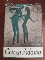 Libreria del Professore