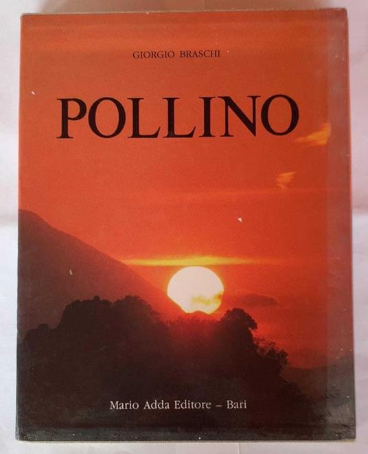 Pollino. Viaggio interiore in una realta' irreale: la wilderness del Pollino - Giorgio Braschi - copertina