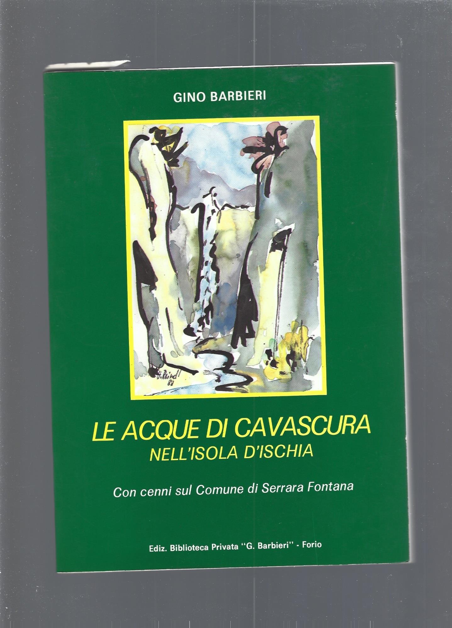 Librisaggi