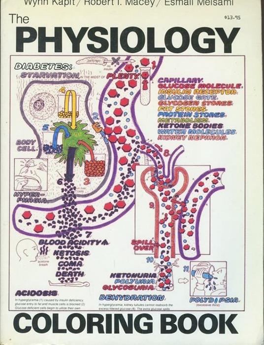 The Physiology Coloring Book - Wynn Kapit - copertina