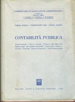 Contabilità pubblica