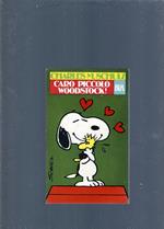 Caro Piccolo Woodstock !