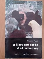 Allevamento del visone