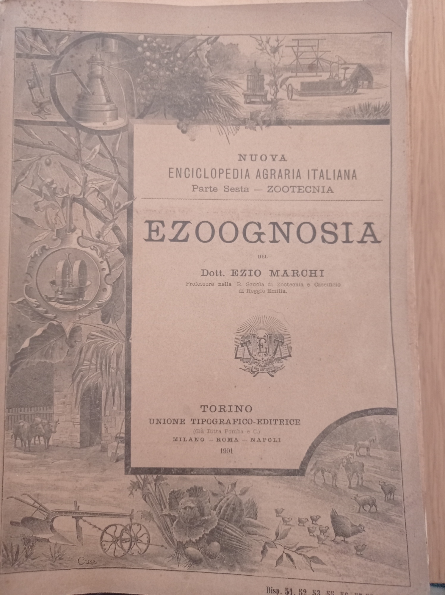 Libreria del Professore