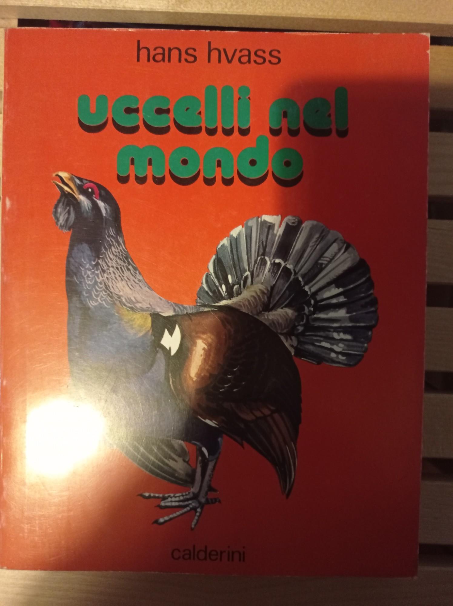 Librisaggi