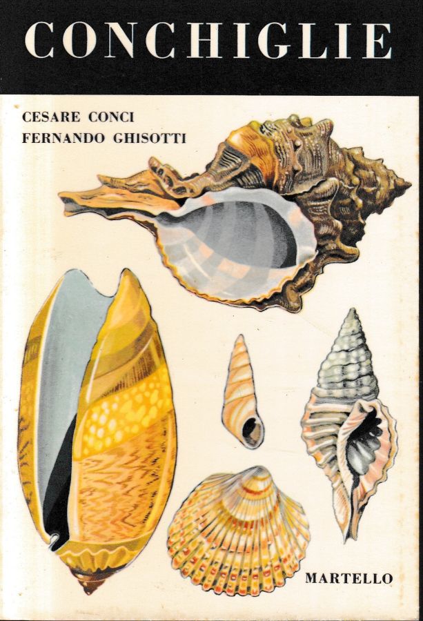 Librisaggi
