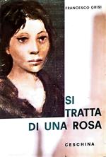 Si tratta di una rosa