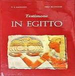 Testimone In Egitto