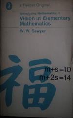 Introducing Mathematics: 1 Vision in Elementary Mathematics