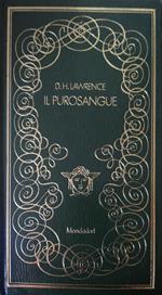 Il purosangue