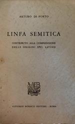 Linfa semitica. Contributo alla comprensione delle origini del Latino