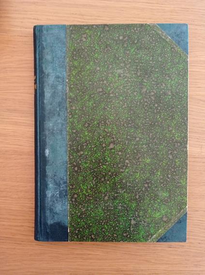 Il buffone del re - copertina