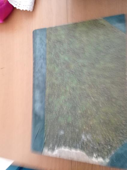 I drammi dell'amore: LA CONTESSA ELENA - copertina