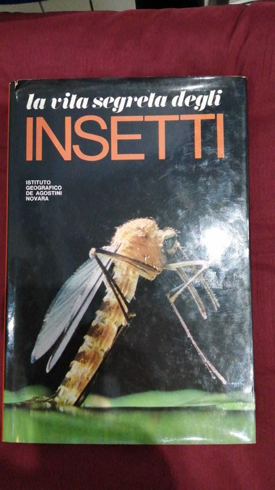 Vita segreta degli Insetti - copertina