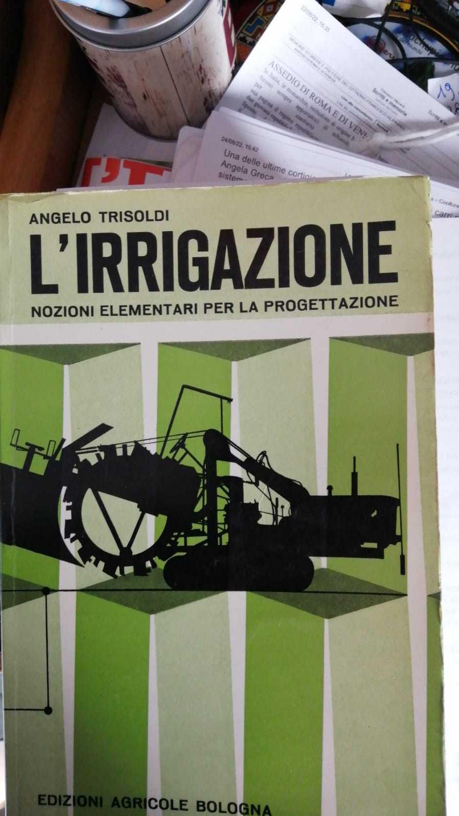 Librisaggi