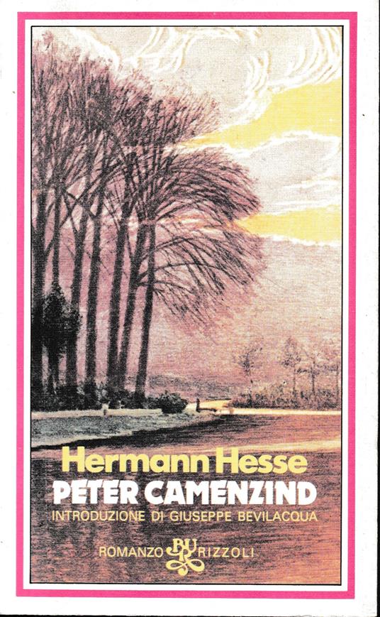 Peter Camenzind - Hermann Hesse - copertina