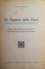Un operaio della Vigna