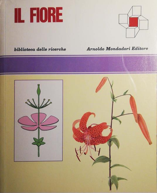 Il Fiore - Anonimo - copertina