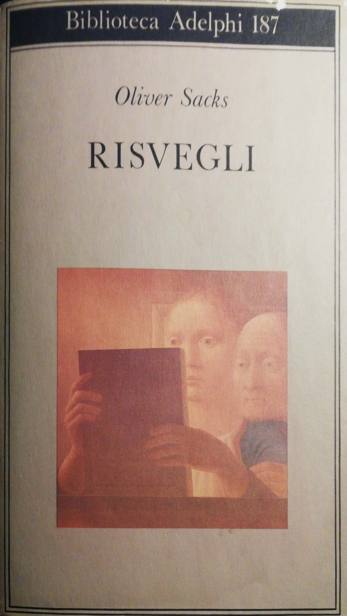 Librisaggi