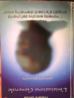 Librisaggi