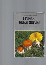 Funghi Nella Natura